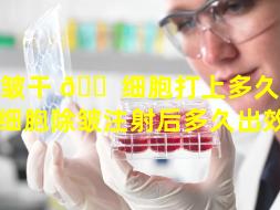除皱干 🐠 细胞打上多久见效（干细胞除皱注射后多久出效果）